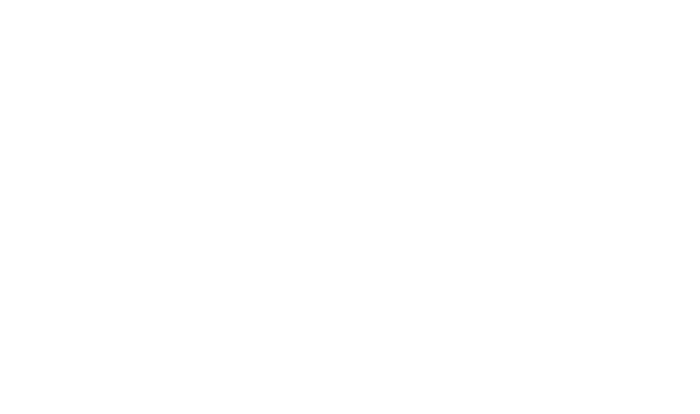 IRSEA